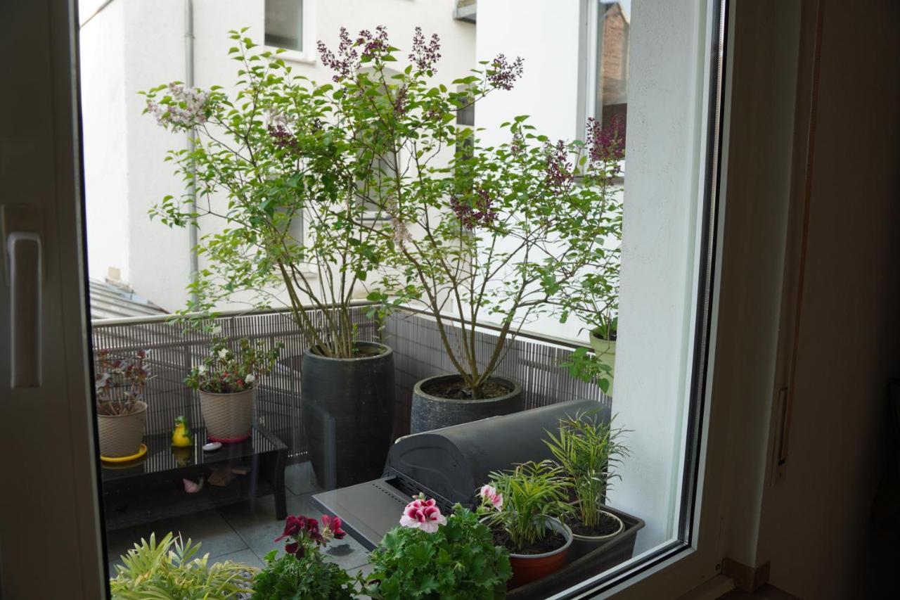 Bright, Spacious Apartment With A Lovely Terrace In The Heart Of Aquisgrana Esterno foto